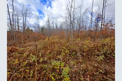 Vl Mancelona Road, Mancelona, MI 49659 - Photo 16