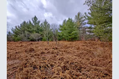 Vl Mancelona Road, Mancelona, MI 49659 - Photo 22