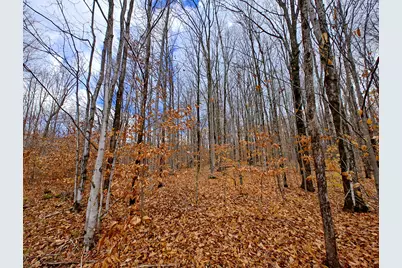 Vl Mancelona Road, Mancelona, MI 49659 - Photo 14
