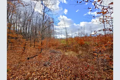 Vl Mancelona Road, Mancelona, MI 49659 - Photo 12