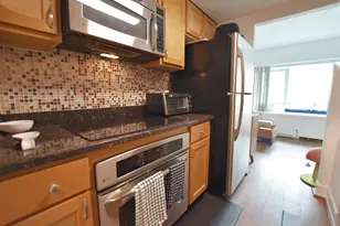 555 E William St, Ann Arbor, MI 48104 - Photo 8