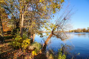 303 Spring St, Constantine, MI 49042 - Photo 20