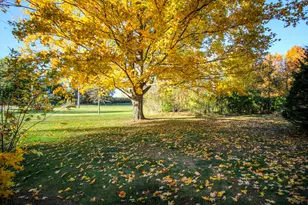 303 Spring St, Constantine, MI 49042 - Photo 26