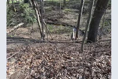 Abc Greenbush Road, Harbert, MI 49115 - Photo 2