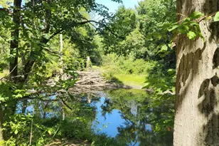 16800 Riverside Dr, Union Pier, MI 49129 - Photo 36