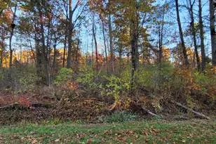 0 Harbor Dr, Pentwater, MI 49449 - Photo 4