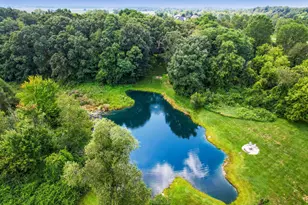 60 Timber Ridge Ct, Milan, MI 48160 - Photo 98