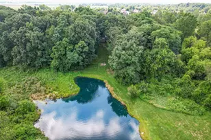 60 Timber Ridge Ct, Milan, MI 48160 - Photo 100