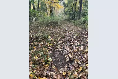 4680 Fitzpatrick Road, Hillsdale, MI 49242 - Photo 62