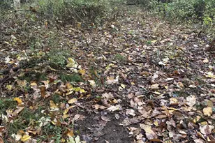 4680 Fitzpatrick Rd, Hillsdale, MI 49242 - Photo 62