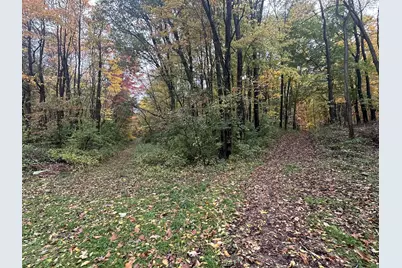 4680 Fitzpatrick Road, Hillsdale, MI 49242 - Photo 58