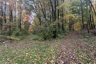 4680 Fitzpatrick Rd, Hillsdale, MI 49242 - Photo 58