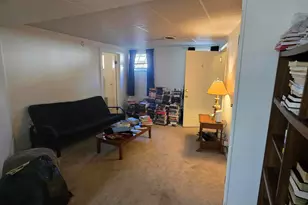 308 S Mechanic St, Berrien Springs, MI 49103 - Photo 46