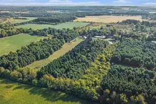 10746 Beebe Hwy, Tipton, MI 49287 - Photo 22