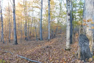 14638 Pleasanton Hwy, Bear Lake, MI 49614 - Photo 12