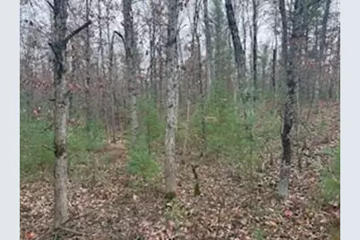 438 E 32nd Street, Baldwin, MI 49304 - Photo 26