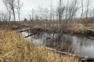 438 E 32nd St, Baldwin, MI 49304 - Photo 1