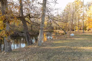 3733 S Brenlor Dr, Hesperia, MI 49421 - Photo 32