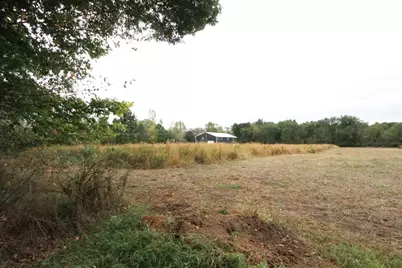 8550 66th Street SE, Alto, MI 49302 - Photo 4