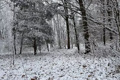 W Mosherville Road, Litchfield, MI 49252 - Photo 16