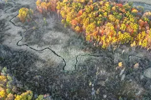 229 E Howard City Edmore Rd, Edmore, MI 48829 - Photo 42