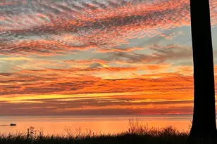 2526 Lakeshore Dr, Fennville, MI 49408 - Photo 72