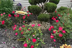 70825 Adamsville Rd, Edwardsburg, MI 49112 - Photo 56