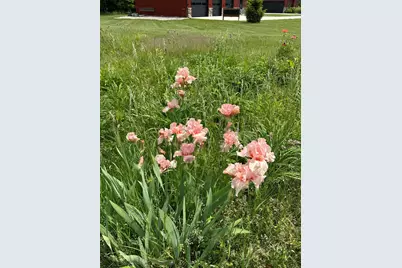 70825 Adamsville Road, Edwardsburg, MI 49112 - Photo 48