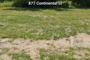 877 Continental St, Detroit, MI 48215 - Photo 1