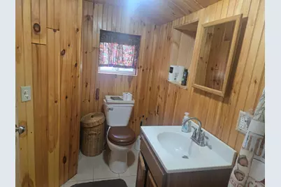 11988 S Shady Grove Drive, Baldwin, MI 49304 - Photo 38