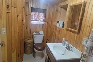 11988 S Shady Grove Dr, Baldwin, MI 49304 - Photo 38