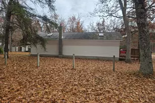 11988 S Shady Grove Dr, Baldwin, MI 49304 - Photo 8