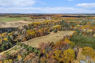 15778 Peters Farm Rd, Irons, MI 49644 - Photo 52