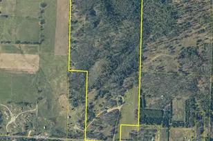 15778 Peters Farm Rd, Irons, MI 49644 - Photo 58