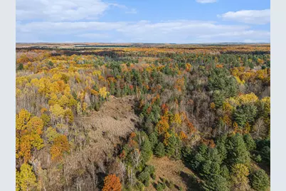 15778 Peters Farm Road, Irons, MI 49644 - Photo 54