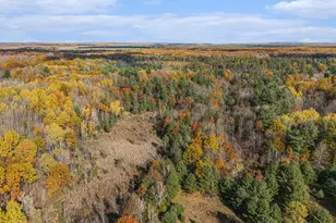 15778 Peters Farm Rd, Irons, MI 49644 - Photo 54