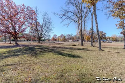 V/L N Woodbridge Avenue, Bitely, MI 49309 - Photo 10
