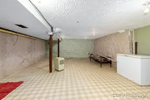 420 Riverside Dr, Portland, MI 48875 - Photo 44