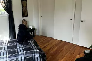 9030 Maplewood Dr, Berrien Springs, MI 49103 - Photo 16