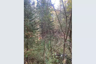 9165 Afton Road, Afton, MI 49705 - Photo 4