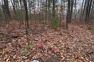 4335 Kings Corner Rd, Glennie, MI 48737 - Photo 30