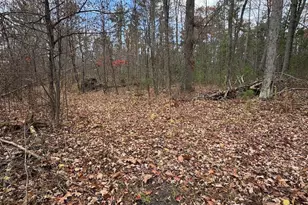 4335 Kings Corner Rd, Glennie, MI 48737 - Photo 36