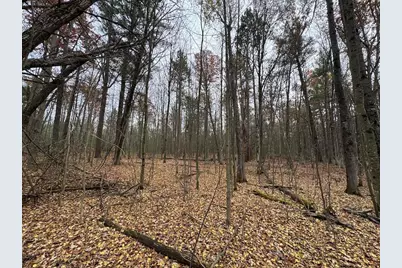 4335 Kings Corner Road, Glennie, MI 48737 - Photo 16
