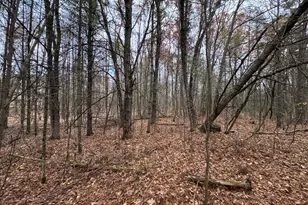 4335 Kings Corner Rd, Glennie, MI 48737 - Photo 44