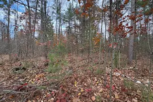 4335 Kings Corner Rd, Glennie, MI 48737 - Photo 34