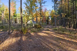 6483 S Emma Ave, Baldwin, MI 49304 - Photo 16