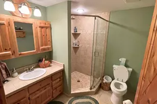 6402 Rustic Pine Trail Trail, Alanson, MI 49706 - Photo 12