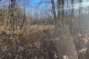 1660 N Bard Rd, Gladwin, MI 48624 - Photo 8