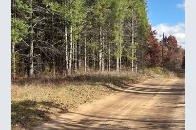 0 W Tamarack Road, Newaygo, MI 49337 - Photo 1