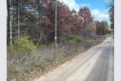 0 W Tamarack Road, Newaygo, MI 49337 - Photo 2